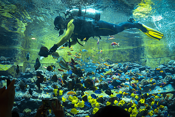 三亚亚特兰蒂斯失落的空间水族馆第 106 张图片