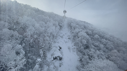 鳌山滑雪度假区第 37 张图片