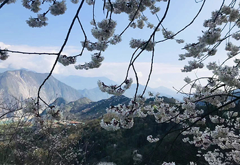 汶川无忧谷第 15 张图片