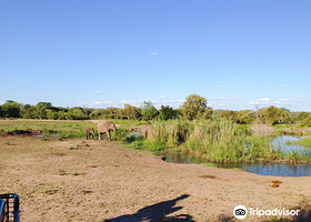 Sabi Sand Game Reserve