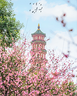 莲花山旅游区