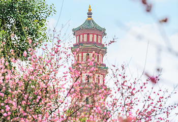 莲花山旅游区第 1 张图片