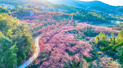 燕子岩风景区第 1 张图片