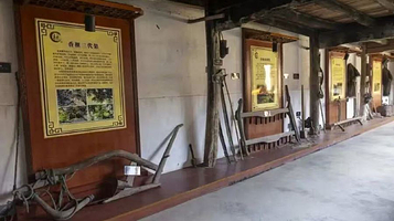 香榧文化博物馆