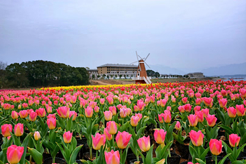 庐山西海花千谷第 21 张图片