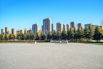 哈尔滨音乐公园第 4 张图片