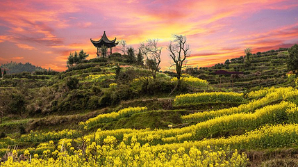 祖源村第 1 张图片