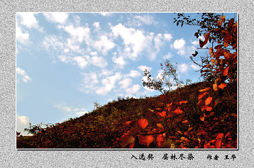 翠枫山自然风景区第 55 张图片