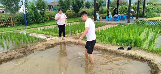 原乡农场第 55 张图片