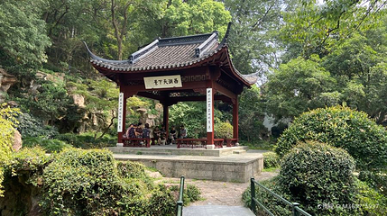 西湖天下景第 1 张图片