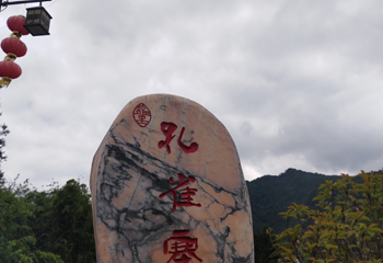 孔雀寨风情园景区第 1 张图片