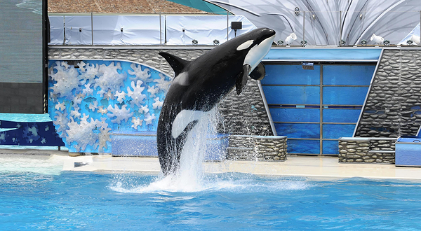 圣地亚哥海洋世界