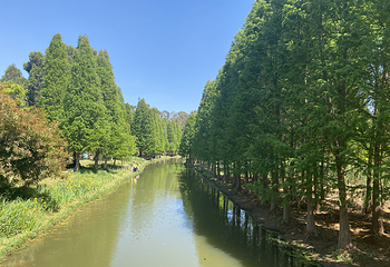 南滇池国家湿地公园第 5 张图片