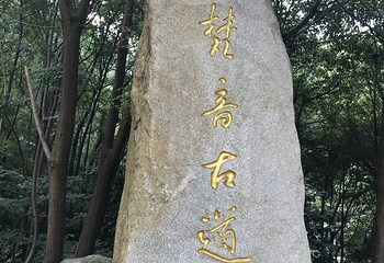 南岳衡山风景名胜区第 145 张图片