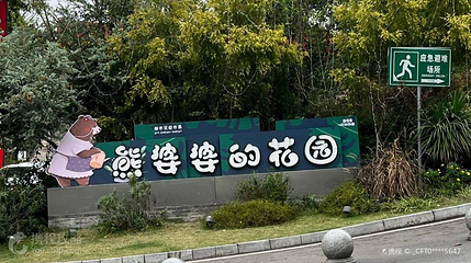 熊婆婆的花园第 4 张图片