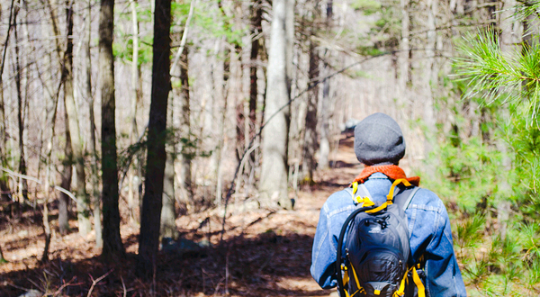 蓝山自然保护区