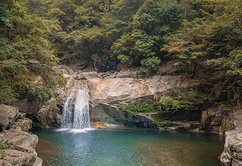大鄣山卧龙谷第 20 张图片