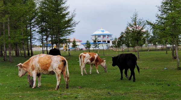 辉腾锡勒乐马旅游度假中心