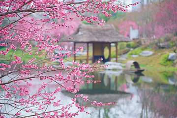 浣花溪公园第 3 张图片