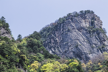 青峰峡森林公园第 15 张图片