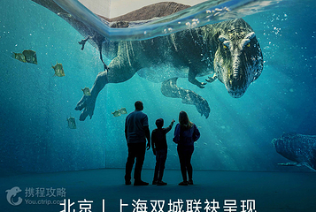 北京 ·《史前星球：恐龙篇》沉浸式巨幕体验第 2 张图片