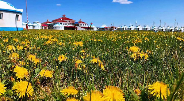 99泉草原度假村(辉腾锡勒草原)
