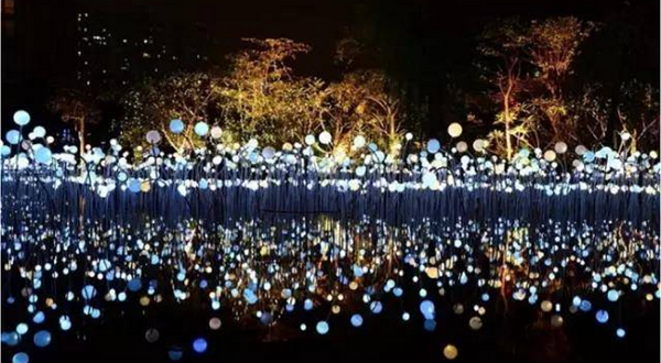 花海彩田景区