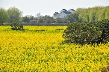 三山岛第 46 张图片