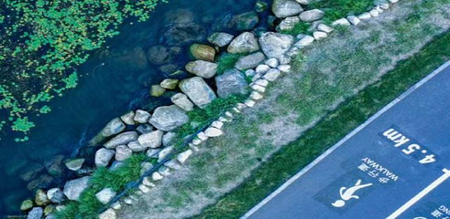 洱海生态廊道下关城区段第 18 张图片