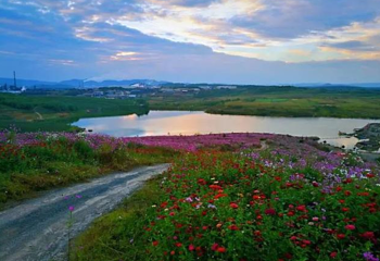 马龙云山湖花海景区第 1 张图片