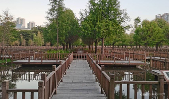 五缘湾湿地公园-迷宫