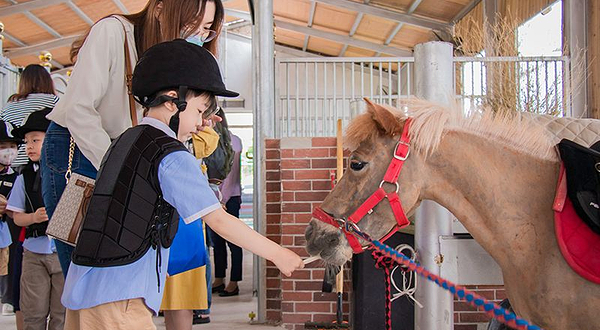 世骑家马术（苏城外校区）