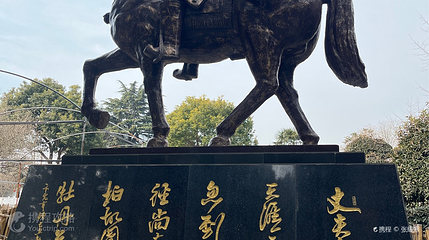 枯枝牡丹园第 3 张图片