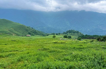 黑竹沟风景名胜区第 32 张图片