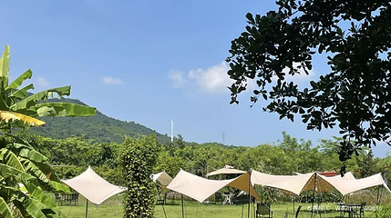 香草园星空露营地第 1 张图片