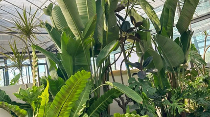 花信植物园第 1 张图片