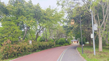 小青龙河湿地公园第 1 张图片