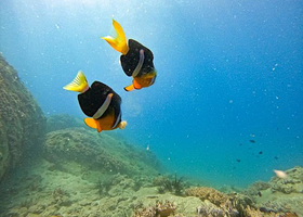 太阳湾潜水胜地水上体验