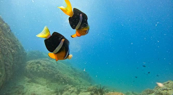 太阳湾潜水胜地水上体验