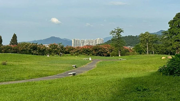 七星岩景区-中恒林