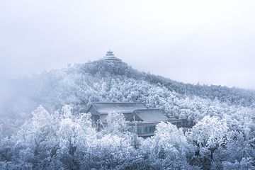 天门山国家森林公园第 251 张图片