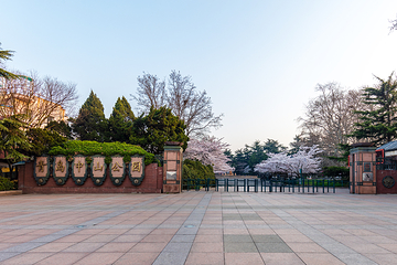中山公园第 10 张图片