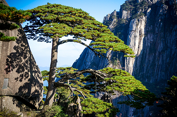 黄山风景区-玉屏景区第 6 张图片