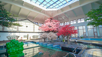 连云港灌云伊水温泉