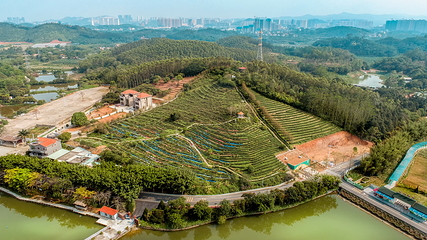 花为你开欢乐世界第 4 张图片