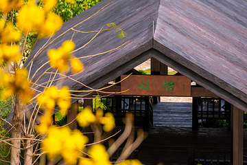 清远笔架山旅游度假区第 90 张图片