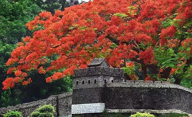 锦绣中华民俗村第 91 张图片