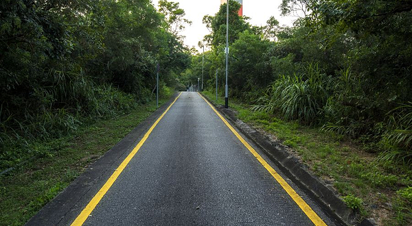 大潭山郊野公园
