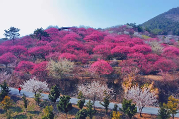 燕儿谷景区第 46 张图片
