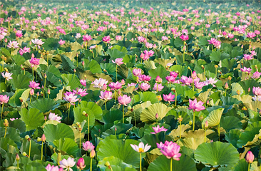 辽河七星湖景区(石佛寺水库)第 27 张图片